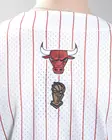 Mitchell & Ness Chicago Bulls Head Coach striped mesh button shirt - Mens t-shirts - TP17503-CBU-000 - 4