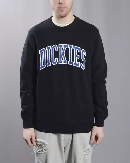 listaus_dickiesaitkincollegepa