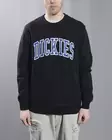 Dickies Aitkin Sweatshirt - Mens Crewnecks - DK0A4XABJ391 - 1