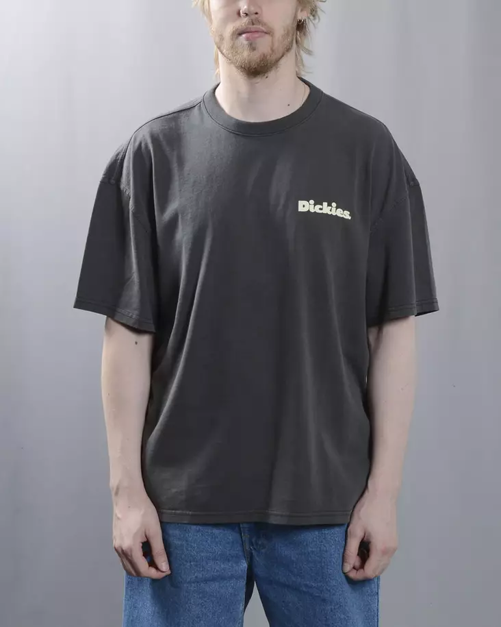 Dickies Slayden GD Tee - Black - Mens t-shirts - DK0A87QRBLK1 - 1