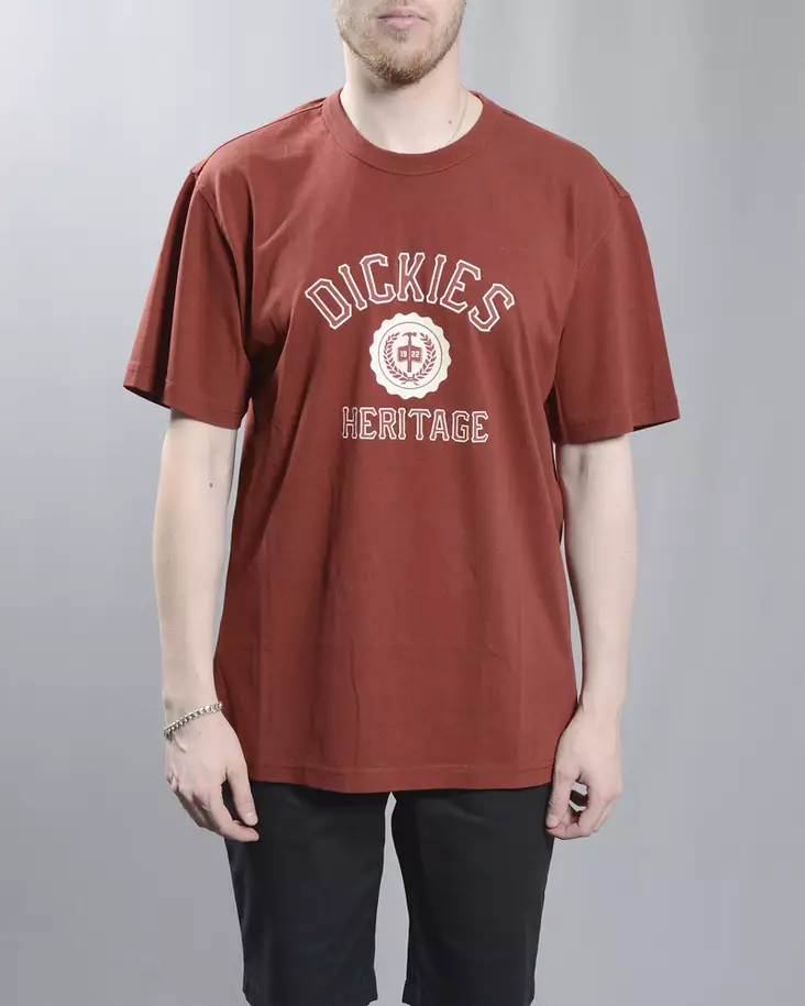Dickies Oxford T-shirt - Mens t-shirts - DK0A4YFLG041 - 1