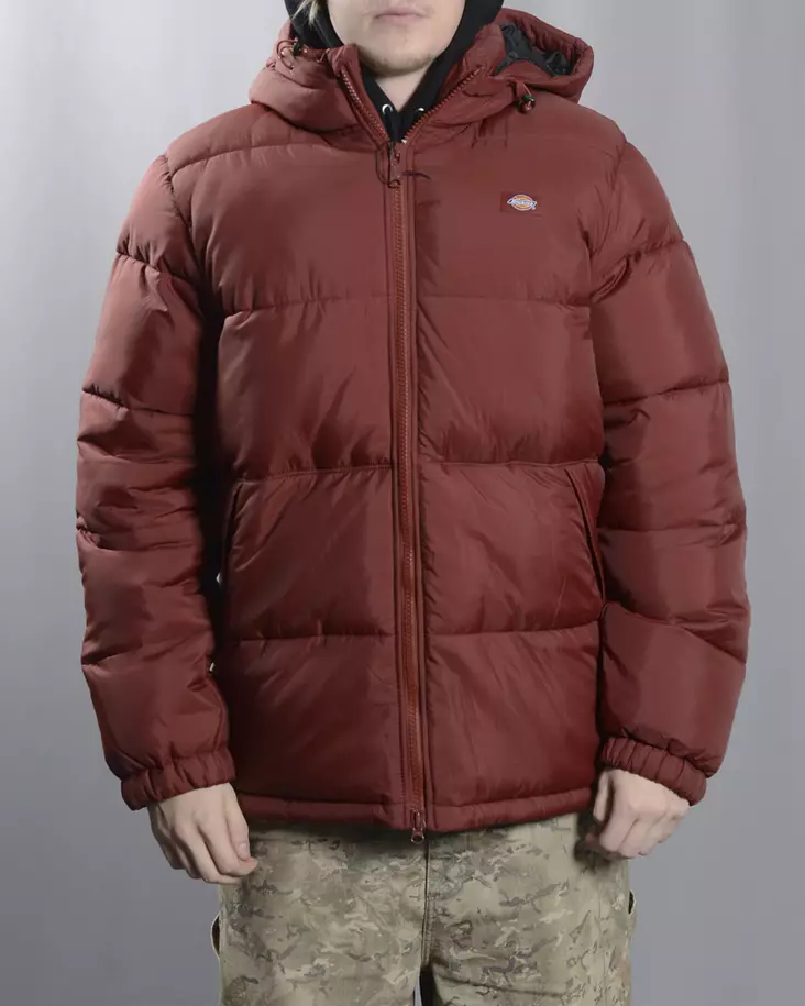 DICKIES Waldenburh Hooded Jacket - Mens Jackets - DK0A4YEYG041 - 1