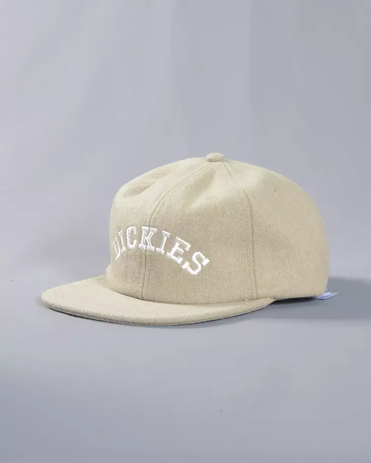 DICKIES West Vale Khaki Cap - Caps - DK0A4YFZKHK1 - 1