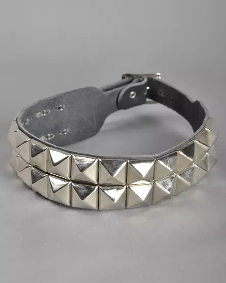 Spikecollar 2-rows -  - 3242 - 1