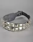 Spikecollar 2-rows -  - 3242 - 1