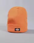DICKIES Gibsland Beanie - Beanies - DK0A4X7KB - 3