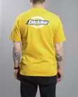 DICKIES Ruston T-Shirt - Mens t-shirts - DK0A4XDC - 2