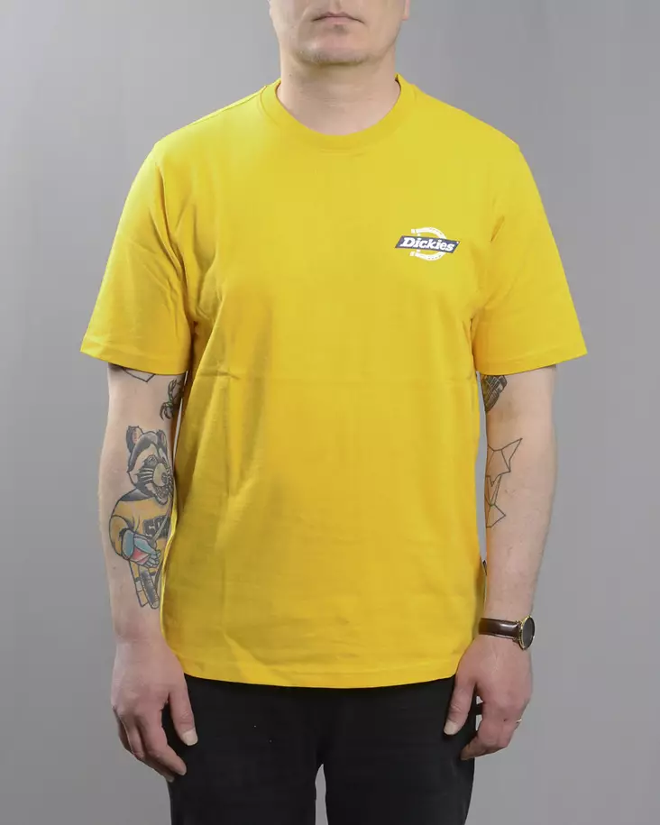 DICKIES Ruston T-Shirt - Mens t-shirts - DK0A4XDC - 1