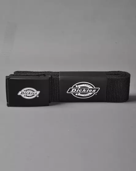 Dickies Orcutt Belt - Belts - DK0A4X7E - 3