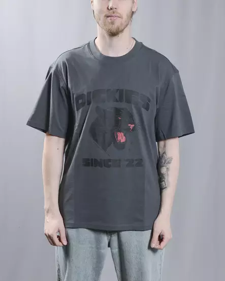 DICKIES MCDERMITT SS T-Paita - Miesten T-paidat - DK0A8CU2-0CH - 1