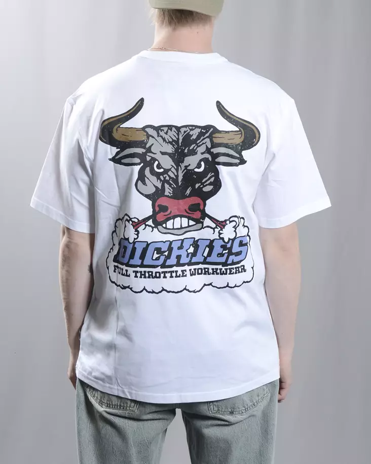 DICKIES LAKERIDGE SS Tee - Mens t-shirts - DK0A8D3H-0WH - 1