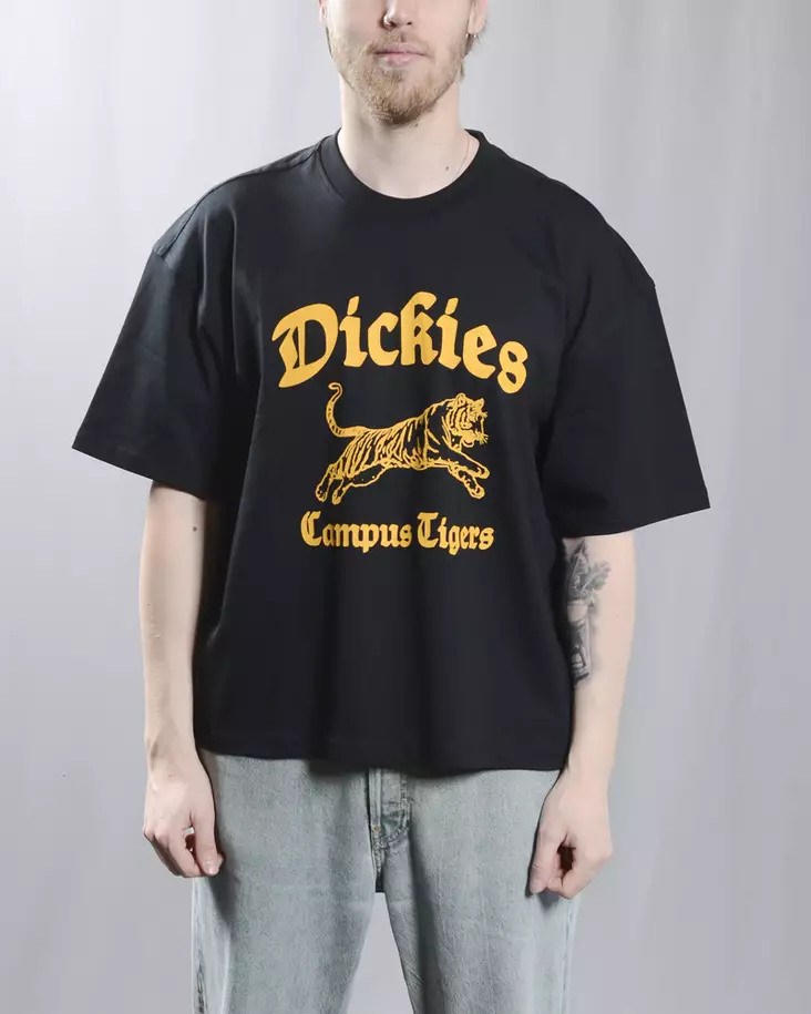DICKIES APALACHICOLSA SS Tee - Mens t-shirts - DK0A8DEF-BLK - 1