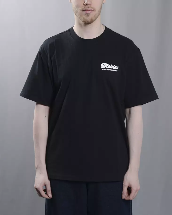Dickies Lewiston t-shirt - Mens t-shirts - DK0A4Z8ZBLK - 1